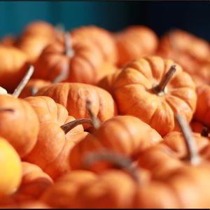 Meet your Posher, Annika